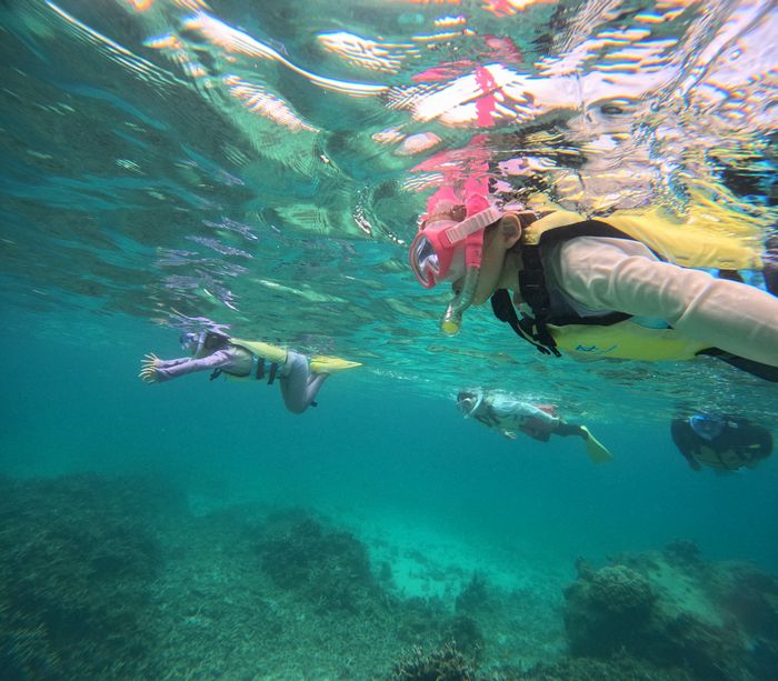 もう一人で泳ぎまわる