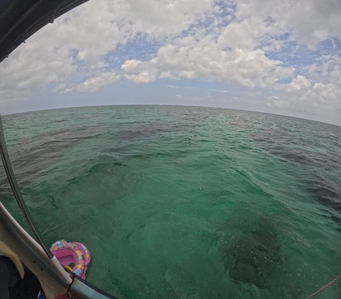 午後からも曇り