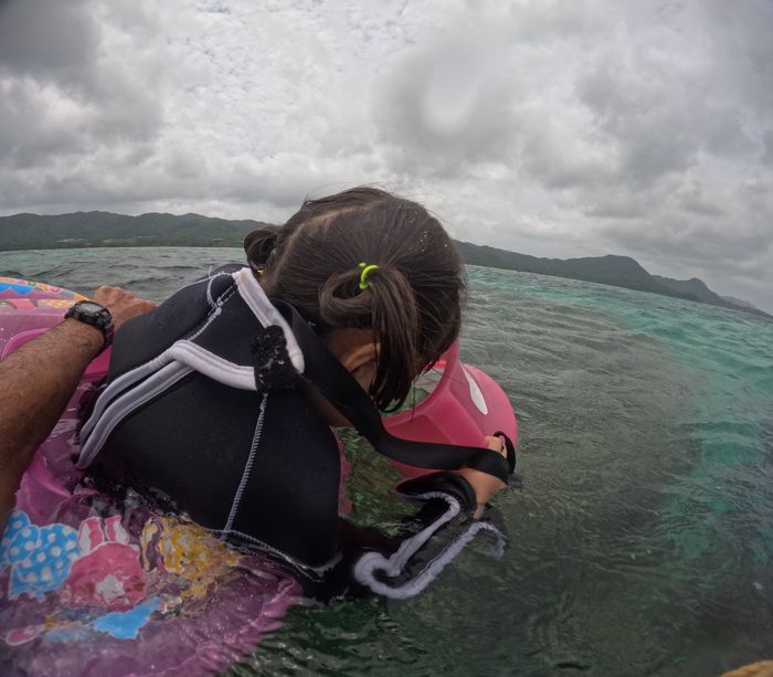 箱メガネに没頭です