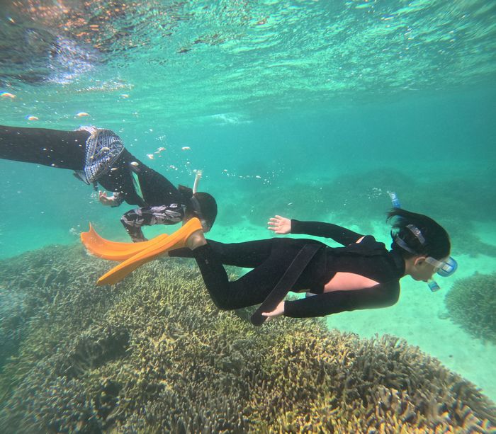 お母さんと一緒に潜る