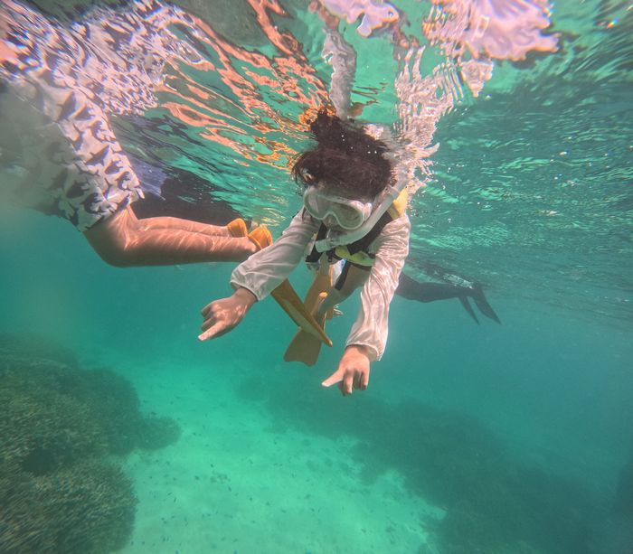 お魚さん指さす♪