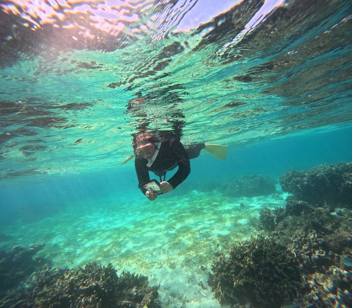 お母さんも楽しんでいます。