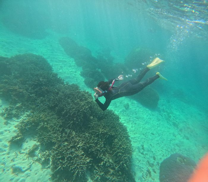 お母さんもドボン