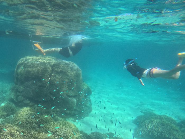 お父さんとお母さんも楽しむ