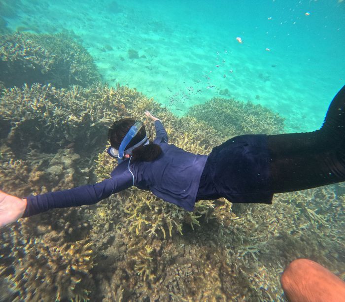 お姉ちゃん、果敢トライ