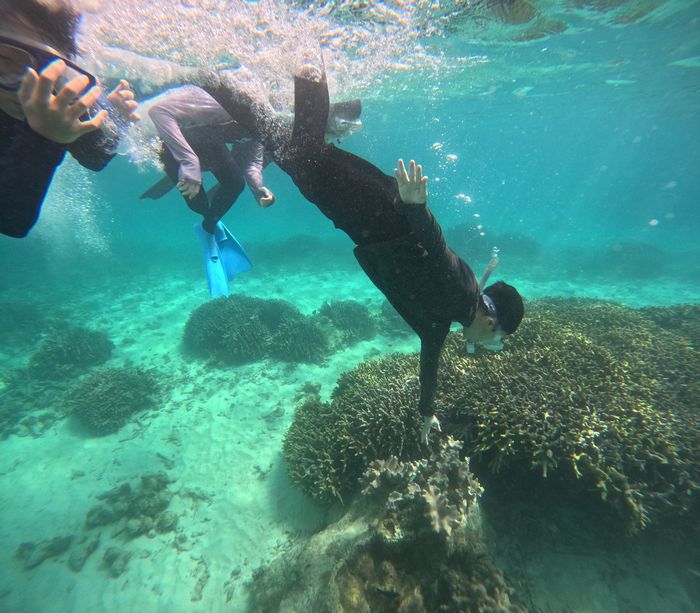 お兄ちゃんも潜ってみる