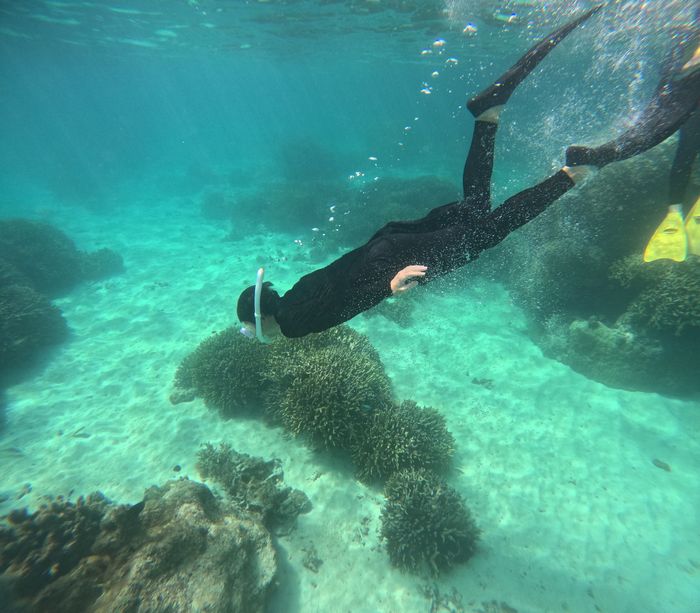 お父さん、一番長い