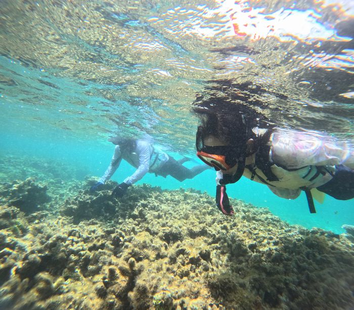 大人チームはゆったりと