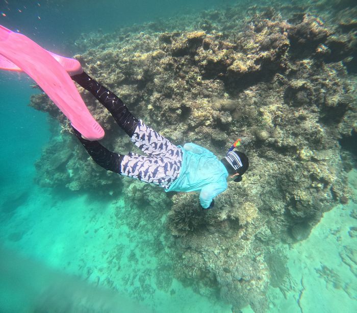 タカシ君も潜る