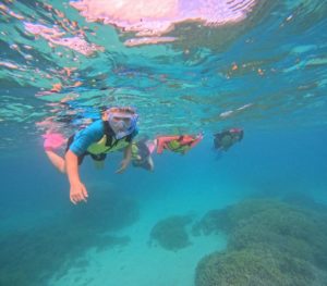 【2025年版】石垣島の半日シュノーケリング完全ガイド｜午前・午後で海を満喫！