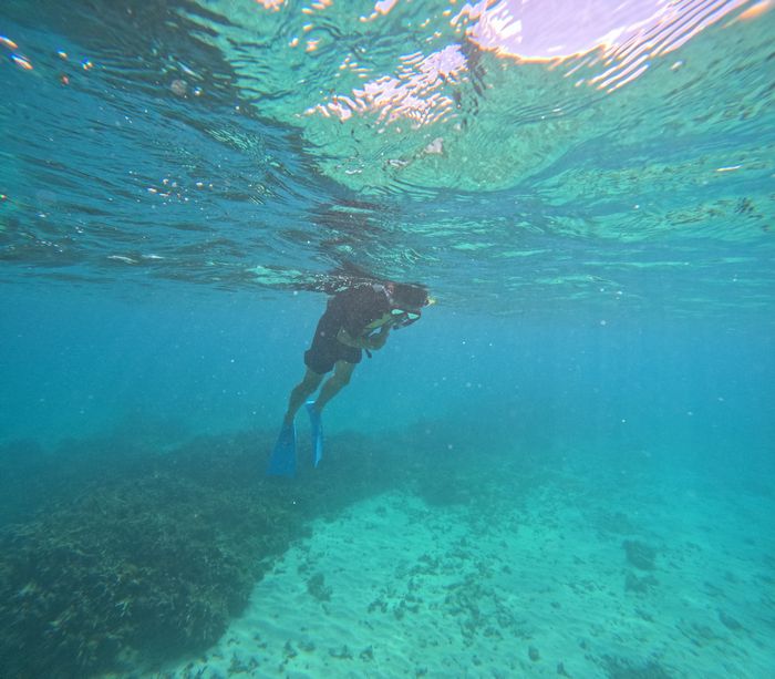 お父さんは脱力泳ぎ♪