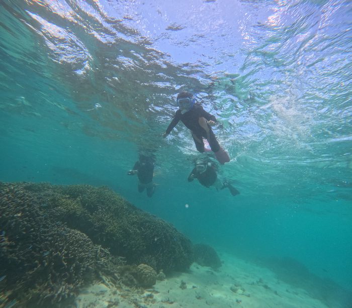リピーターＨ野さんご家族です