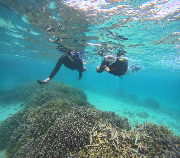 大人チームも楽しんで