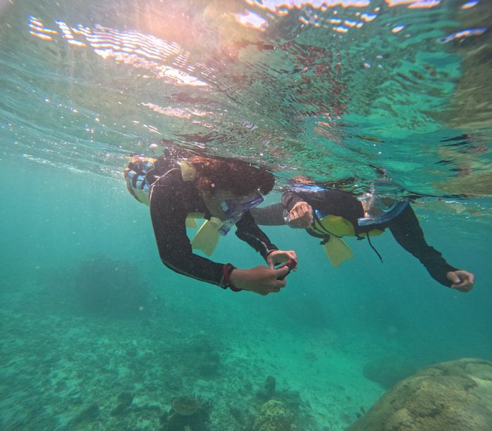 レンタルカメラを楽しむ