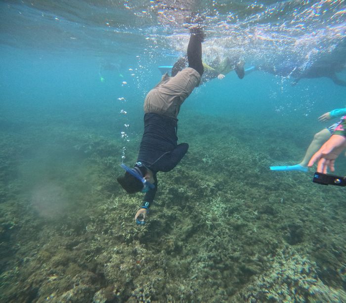 お母さんも潜る