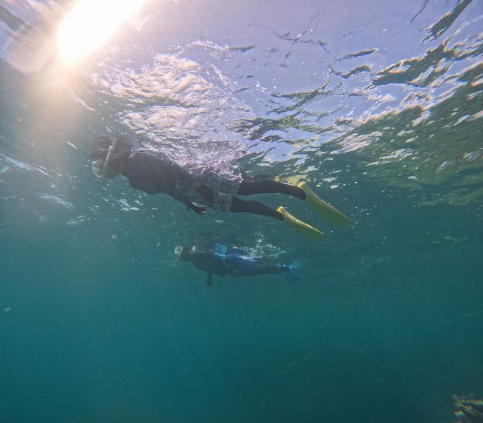 ゆったり楽しみました