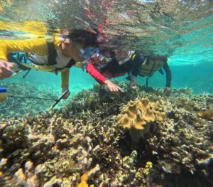 【2025年版】石垣島シュノーケリング初心者ガイド｜失敗しないコツ＆安心Q&A