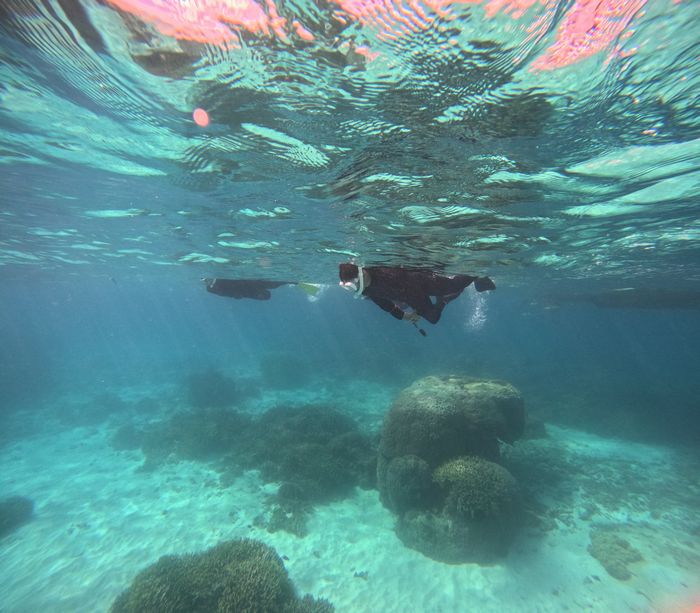 浅場も楽しむ♪