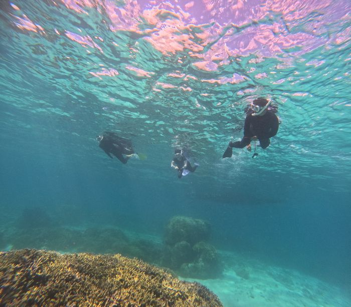 二組三名様、皆さんリピーターさん