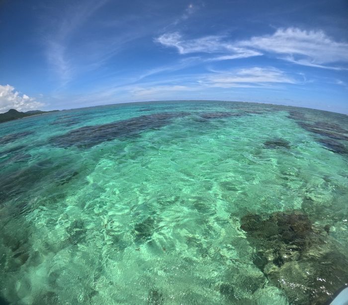 シュノーケリング日和です