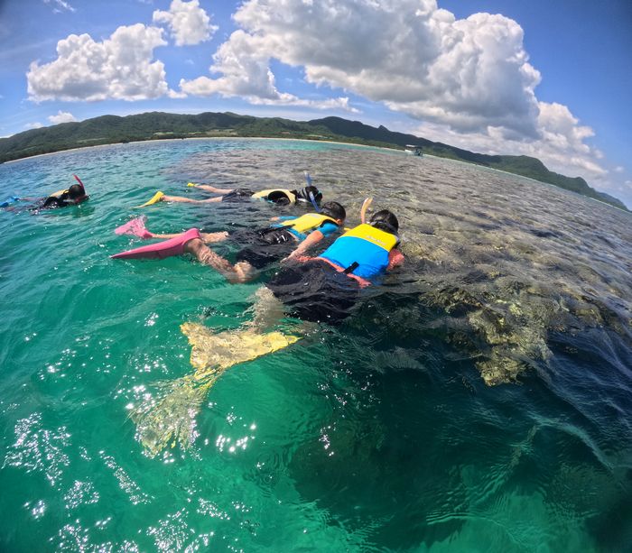 じっくり観察モード　基本　入水チェック