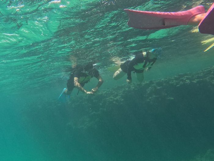 お姉さんとお父さん