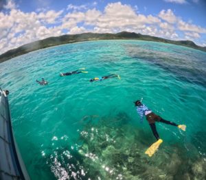 台風後のツアー再開シュノーケリング♪その様子は？