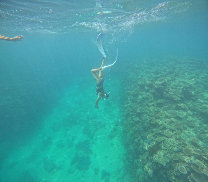 軽やかに潜るY口さん