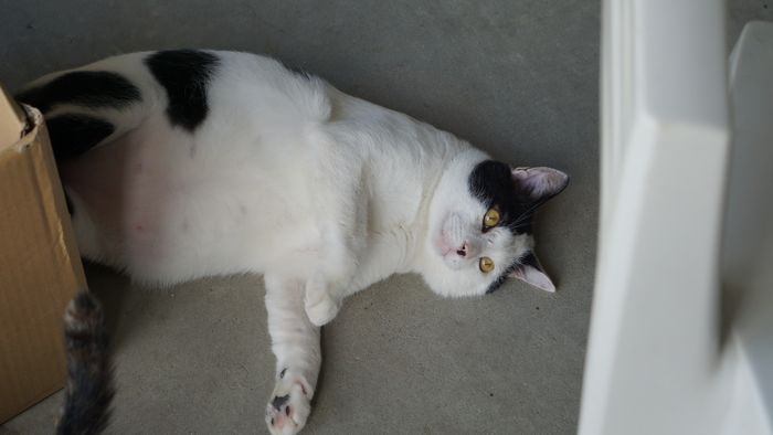 それってどんな??