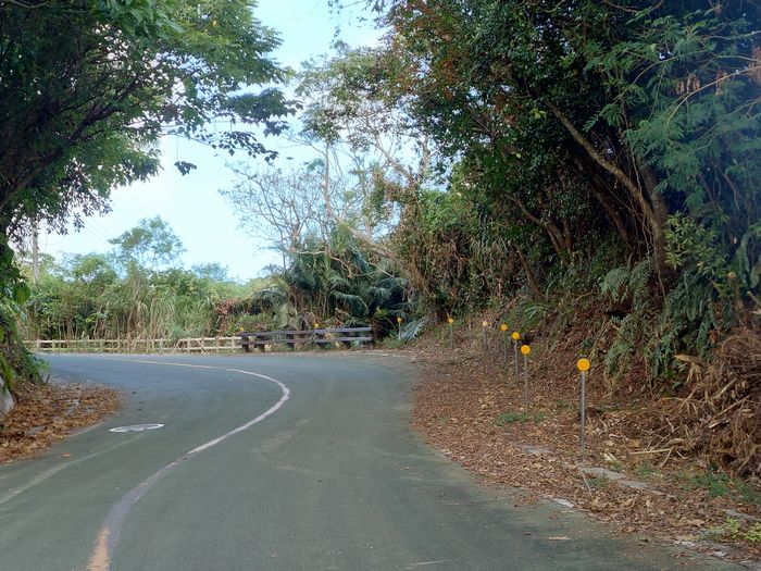 道路を走っていると