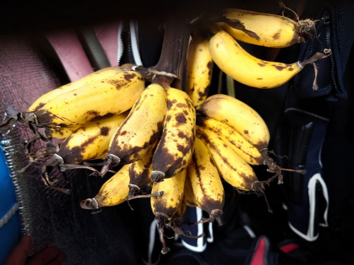 そろそろ食べごろのバナナ