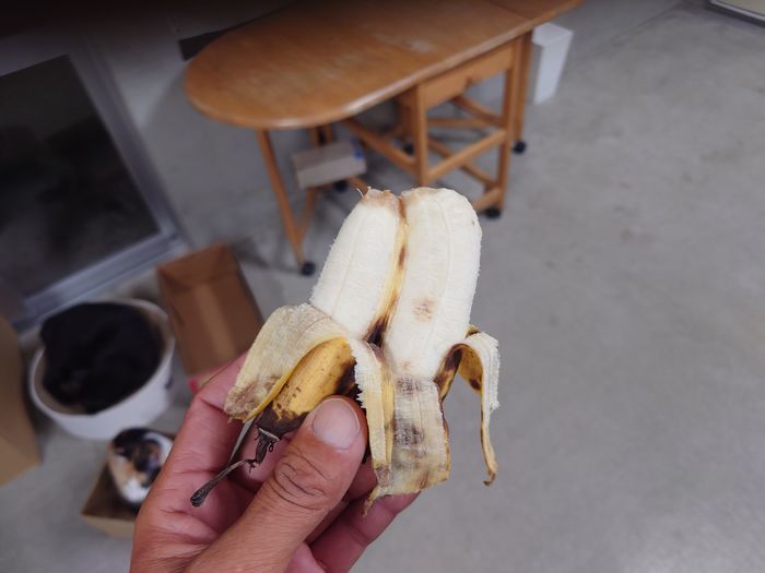 皮をむいても双子です