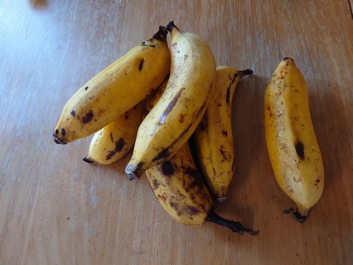 ご近所さんから頂き物