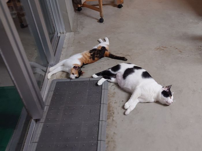 うだうだしている子がいますね