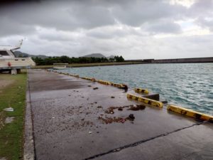 悩んでも仕方ありませんが。。。台風18号さん。。。うねりが強いです。