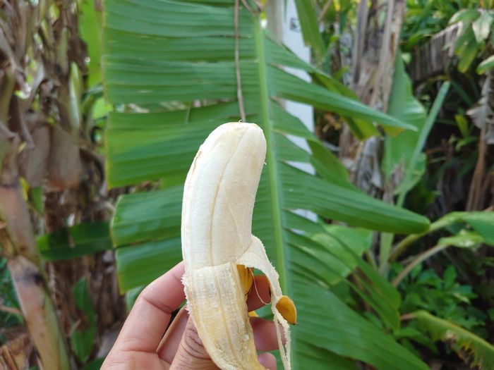 最後の一本、頂きました