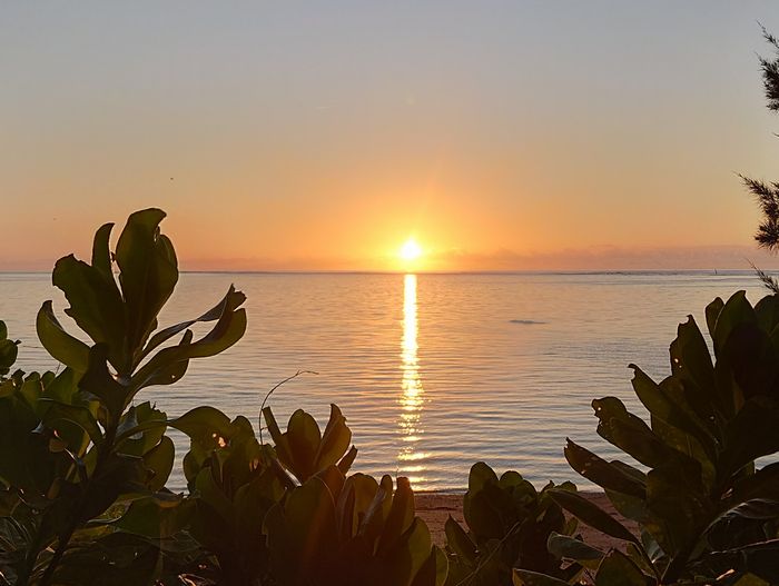 穏やかな海です