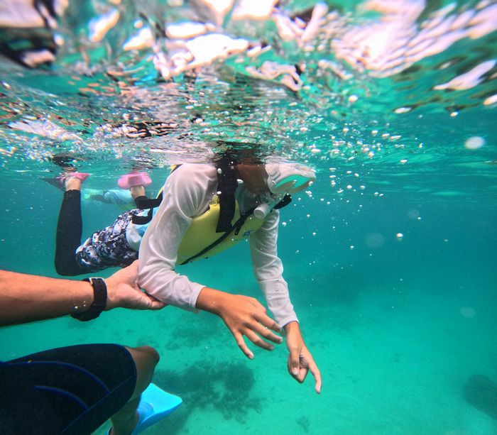 最初は不安いっぱい