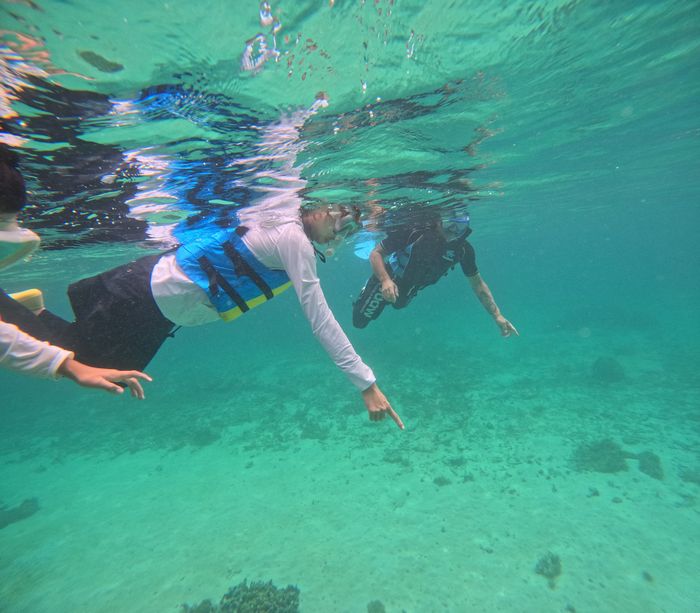 お父さんとお母さんも楽しんで