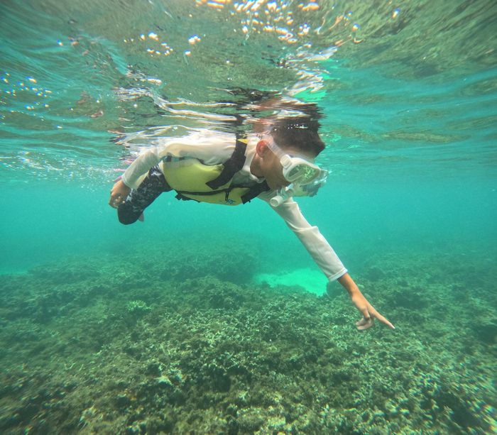 カクレクマノミさん発見