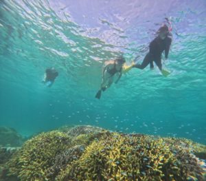 家族で貸切シュノーケリング！枠を広げてスキンダイビング