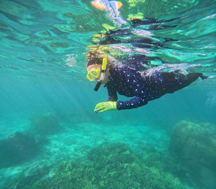 77歳スイマー！海を楽しむ！シニア