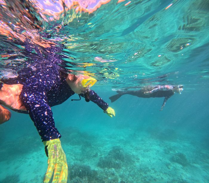 ベテランのお二人