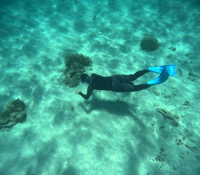 素潜りドボンの旦那さん