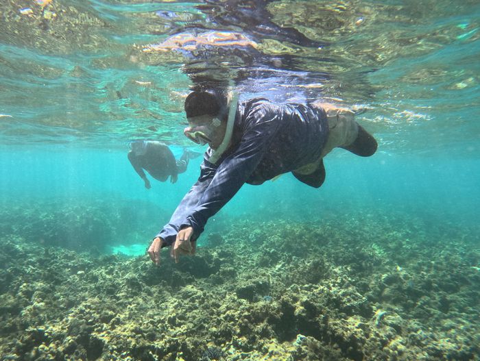 颯爽と泳ぎ始めて