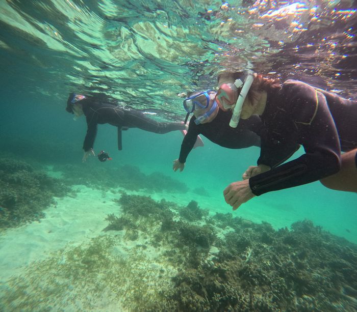 ゆったりコースを回っていきます