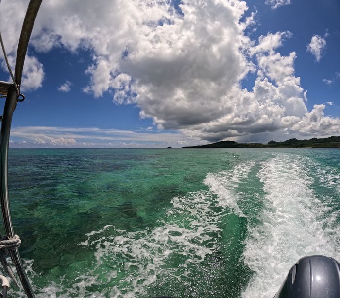 午後からもシュノーケリング日和です