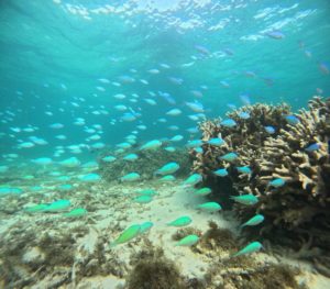 少人数ツアーは自由度高く！海の虜がまた増えました！