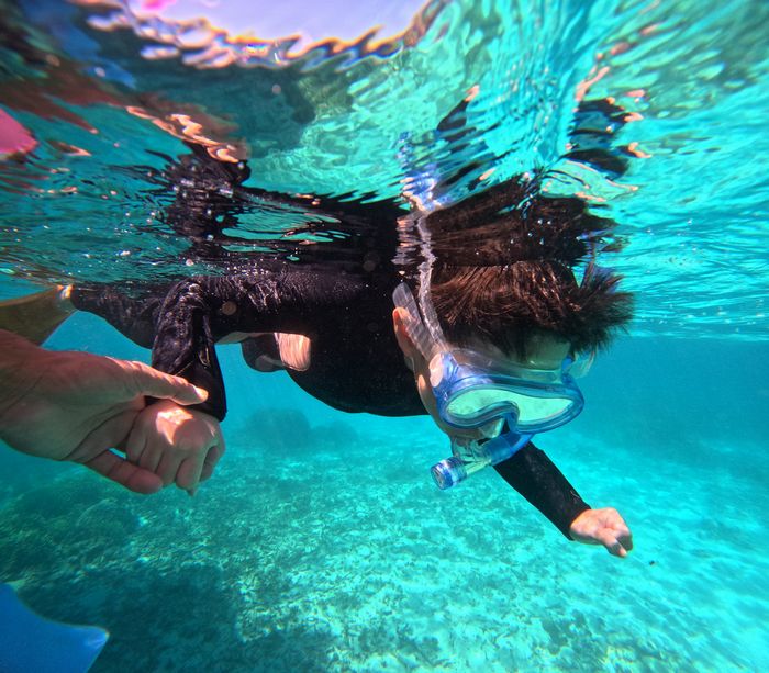 マスクデビューに挑戦