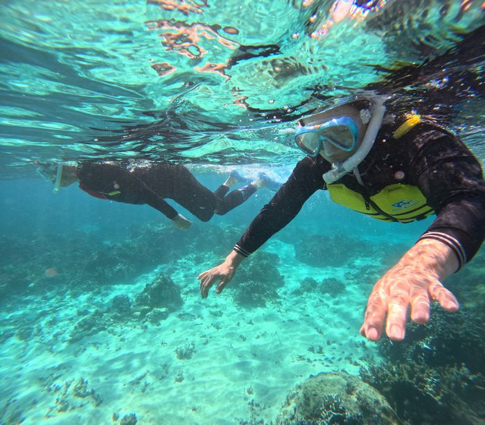 おじいちゃん、おばあちゃんも楽しむ